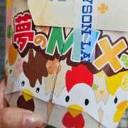 ヒメ日記 2025/06/26 12:40 投稿 ねね 池袋千姫