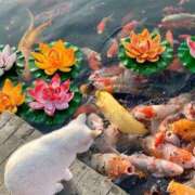 ヒメ日記 2025/06/28 17:37 投稿 ねね 池袋千姫