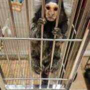 ヒメ日記 2025/08/15 12:47 投稿 ねね 池袋千姫