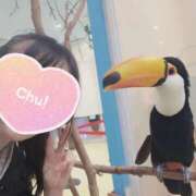 ヒメ日記 2025/08/17 12:47 投稿 ねね 池袋千姫