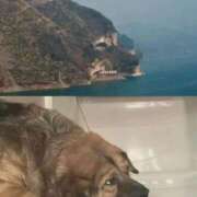 ヒメ日記 2025/08/18 12:27 投稿 ねね 池袋千姫