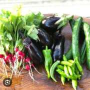 ヒメ日記 2025/08/27 12:47 投稿 ねね 池袋千姫