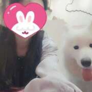 ヒメ日記 2025/09/07 12:47 投稿 ねね 池袋千姫