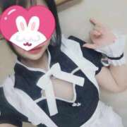 ヒメ日記 2025/09/15 12:27 投稿 ねね 池袋千姫