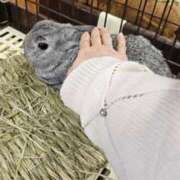 ヒメ日記 2025/11/05 12:47 投稿 ねね 池袋千姫