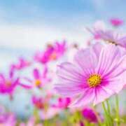 ヒメ日記 2025/11/06 00:57 投稿 ねね 池袋千姫