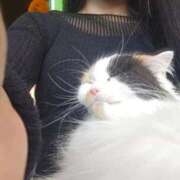 ヒメ日記 2025/11/30 12:47 投稿 ねね 池袋千姫