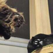 ヒメ日記 2025/12/09 12:27 投稿 ねね 池袋千姫