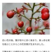 ヒメ日記 2026/01/18 08:27 投稿 ねね 池袋千姫