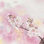 ヒメ日記 2026/02/23 12:07 投稿 ねね 池袋千姫