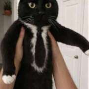 ヒメ日記 2026/04/19 12:17 投稿 ねね 池袋千姫