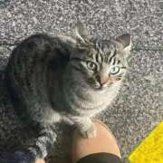 ねね ～本日出勤日です～ 池袋千姫