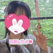 ヒメ日記 2026/09/07 12:37 投稿 ねね 池袋千姫