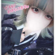 メンダコ（面蛸） はつしゅっきん！ 女の子市場　川越店