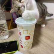 ヒメ日記 2025/10/05 13:26 投稿 すずな 極楽城(ゴクラクジョウ)