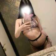 ヒメ日記 2025/06/03 11:48 投稿 みる PHANTOM(ファントム)