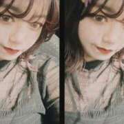 ヒメ日記 2025/11/14 13:35 投稿 もね 若葉