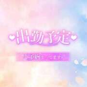 ヒメ日記 2025/09/20 06:35 投稿 まい 宮崎ちゃんこ都城店