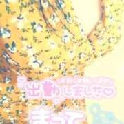 ヒメ日記 2025/11/29 13:33 投稿 まい 宮崎ちゃんこ都城店