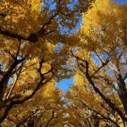 ヒメ日記 2025/02/01 19:26 投稿 まみ an_an（アンアン）