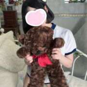 ヒメ日記 2025/01/25 14:18 投稿 きほ 性の極み 技の伝道師 Ver.新横浜店