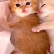 ヒメ日記 2025/03/15 15:48 投稿 きほ 性の極み 技の伝道師 Ver.新横浜店