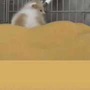 ヒメ日記 2025/03/16 23:48 投稿 きほ 性の極み 技の伝道師 Ver.新横浜店