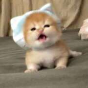 ヒメ日記 2025/03/17 18:08 投稿 きほ 性の極み 技の伝道師 Ver.新横浜店