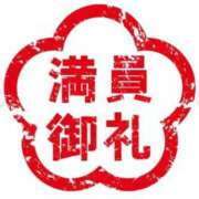 ヒメ日記 2025/04/07 06:37 投稿 七瀬まりあ Lumière-ルミエール-