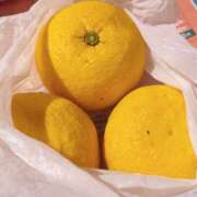 ヒメ日記 2026/01/30 23:30 投稿 Ｍiyuri(みゆり） AMATERAS(アマテラス)(福山)