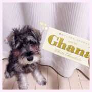 Ｍiyuri(みゆり） バレンタイン💝🍫 AMATERAS(アマテラス)(福山)