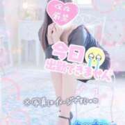 ヒメ日記 2025/09/11 09:01 投稿 ゆいの チューリップ熊本店