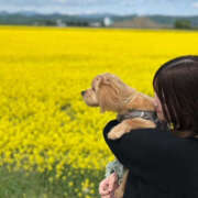 ヒメ日記 2025/05/24 22:49 投稿 いちか ハピネス札幌