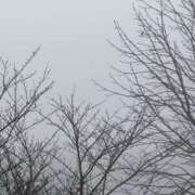 ヒメ日記 2025/03/17 08:38 投稿 雪野 川越勃たせる妻たち