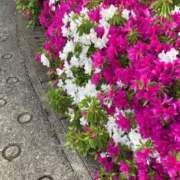 ヒメ日記 2025/05/10 11:25 投稿 さつき 熟女総本店