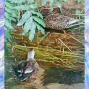 さつき 出勤しますね😃 熟女総本店