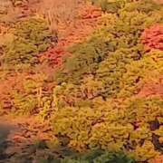 ヒメ日記 2025/12/08 14:18 投稿 さつき 熟女総本店