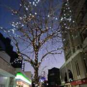 ヒメ日記 2026/01/31 12:02 投稿 さつき 熟女総本店