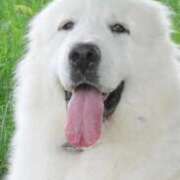 ヒメ日記 2026/03/06 12:52 投稿 さつき 熟女総本店