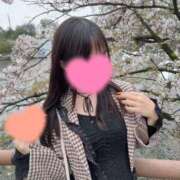 ヒメ日記 2026/04/09 08:57 投稿 みい Grace東京