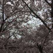 むつみ おはようございます。 完熟ばなな 谷九店