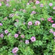 むつみ 今週の出勤予定🗓️ 完熟ばなな 谷九店