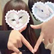 ヒメ日記 2025/05/16 19:20 投稿 いおり かりんと秋葉原