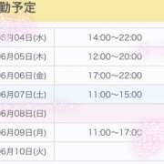 ヒメ日記 2025/06/04 15:26 投稿 いおり かりんと秋葉原
