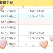 ヒメ日記 2025/06/27 13:23 投稿 いおり かりんと秋葉原