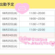 ヒメ日記 2025/08/20 10:45 投稿 いおり かりんと秋葉原