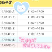 ヒメ日記 2025/11/10 10:56 投稿 いおり かりんと秋葉原