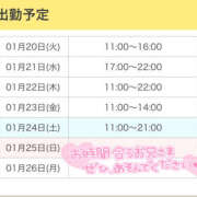 ヒメ日記 2026/01/20 11:01 投稿 いおり かりんと秋葉原