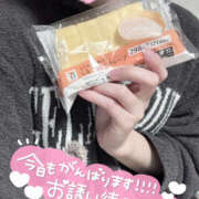 ヒメ日記 2026/02/25 11:10 投稿 いおり かりんと秋葉原