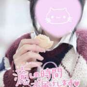 ヒメ日記 2026/02/26 12:31 投稿 いおり かりんと秋葉原